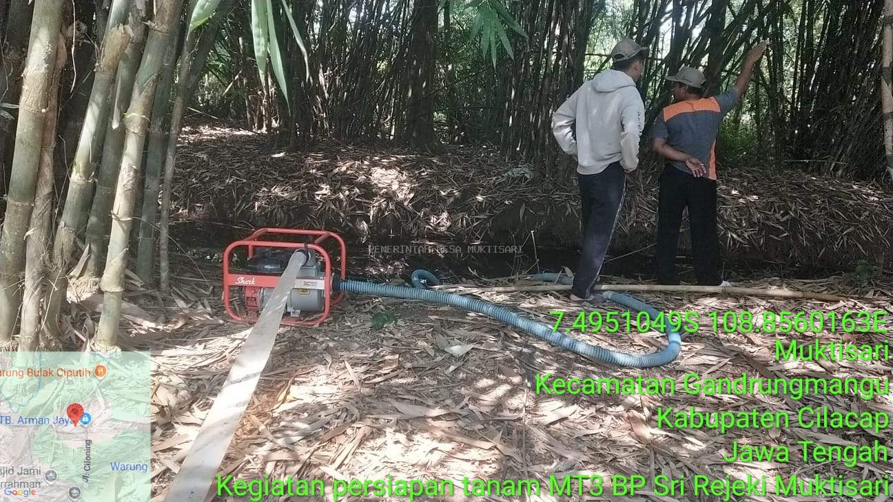 PERSIAPAN TANAM MT3 SRI REJEKI MUKTISARI