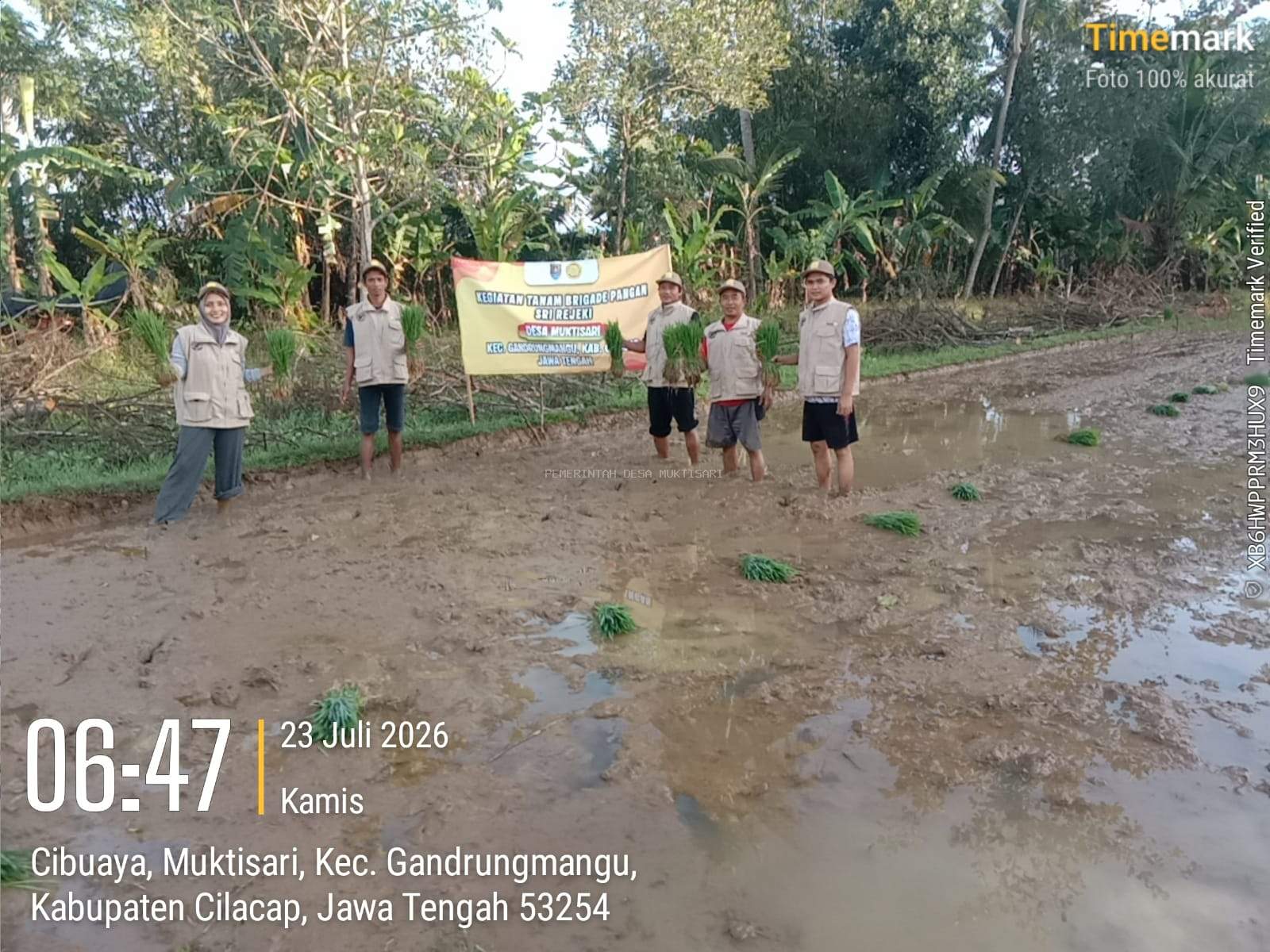 BRIGADE PANGAN SRI REJEKI DESA MUKTISARI LAKUKAN KEGIATAN TANAM DI LAHAN PERTANIAN