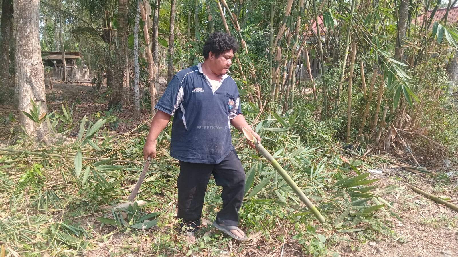 SEBATANG BAMBU, SERIBU MAKNA KEMERDEKAAN